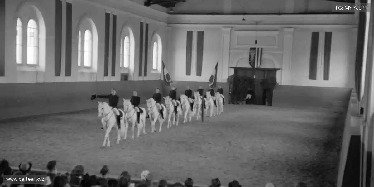 🏀 巅峰对决,不容错过!🏅